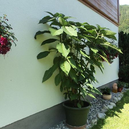Apartamento Gondelblick Wagrain Exterior foto