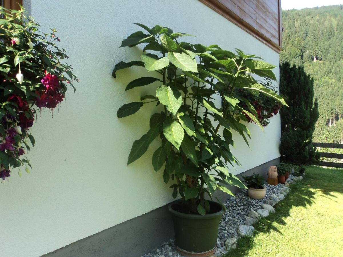 Apartamento Gondelblick Wagrain Exterior foto